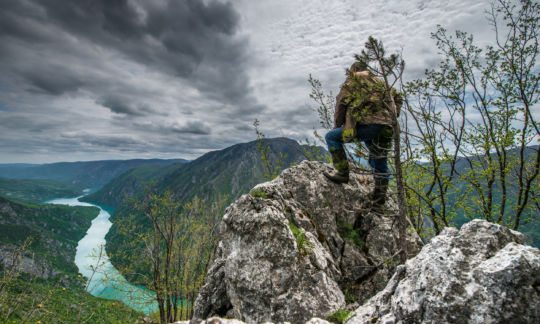 © Dejan Petrović